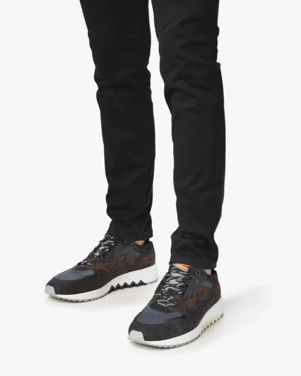 Sneaker>Floris van Bommel De Harder 03.04 Dunkelbraun