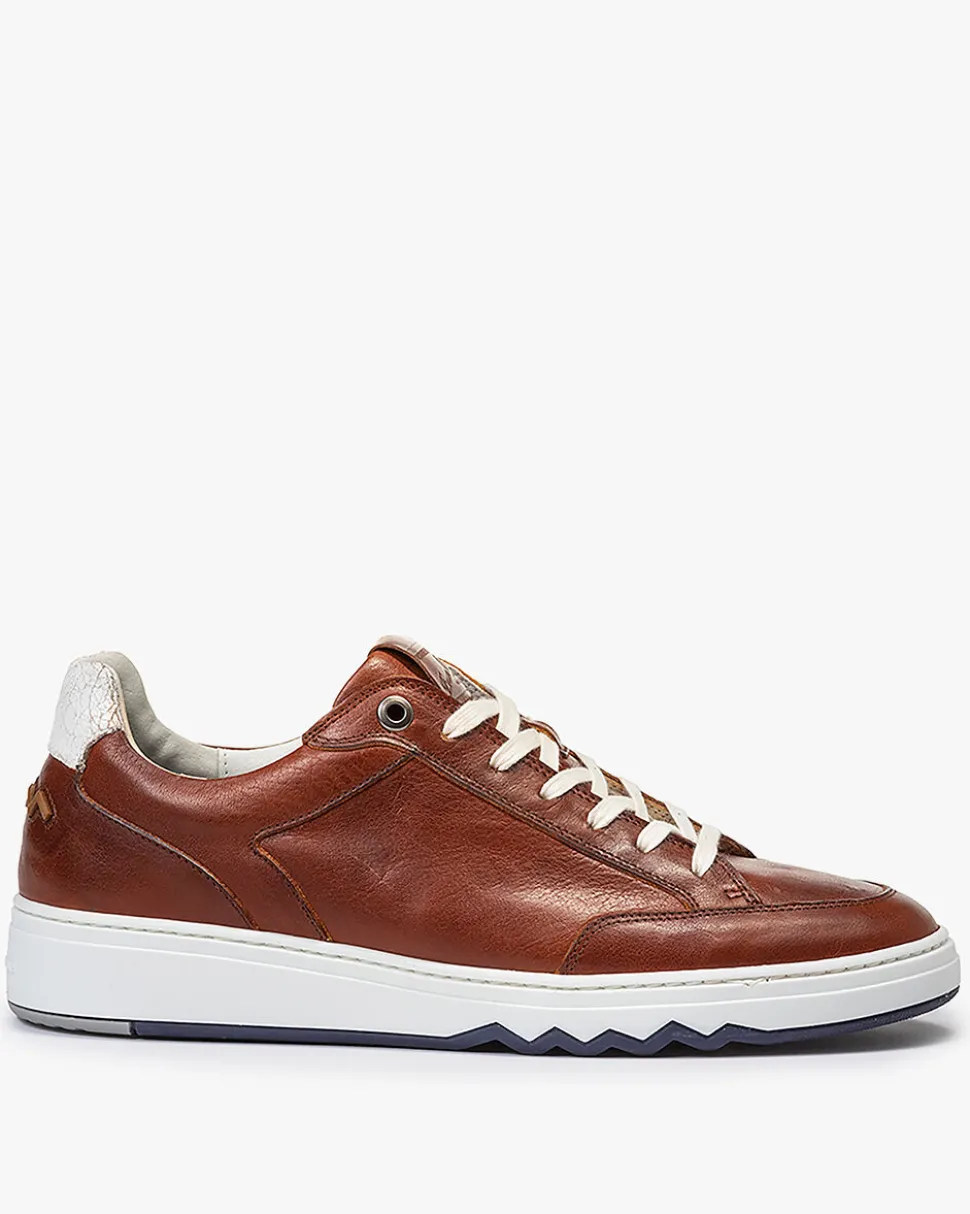 Casual im Büro | Sneaker>Floris van Bommel De Kupster 03.07 Dunkelcognac