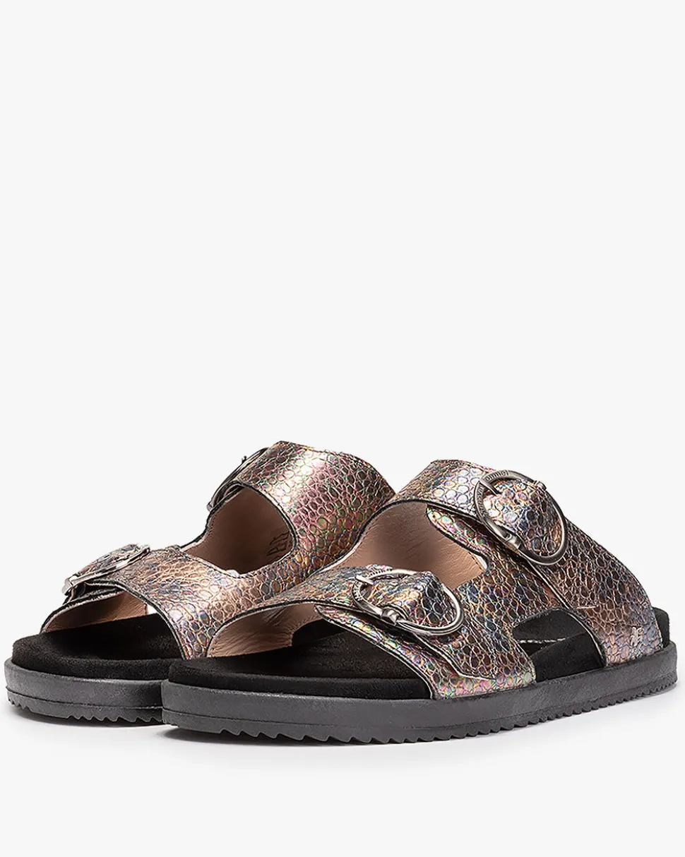Sandalen>Floris van Bommel Marli 01.03 Multi-colour