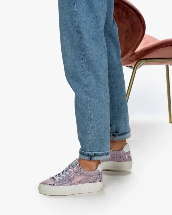 Sneaker>Floris van Bommel Vinni 05.30 Violett