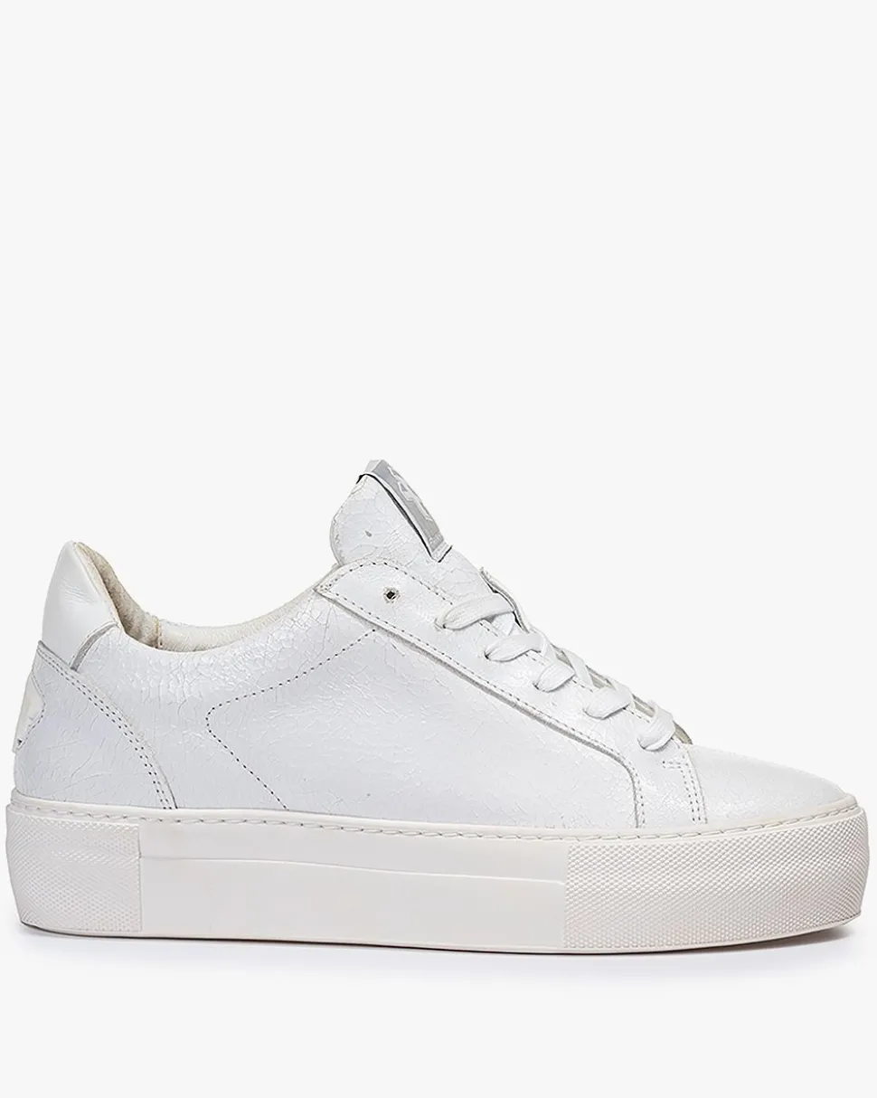 Sneaker>Floris van Bommel Vinni 05.41 Weiẞ