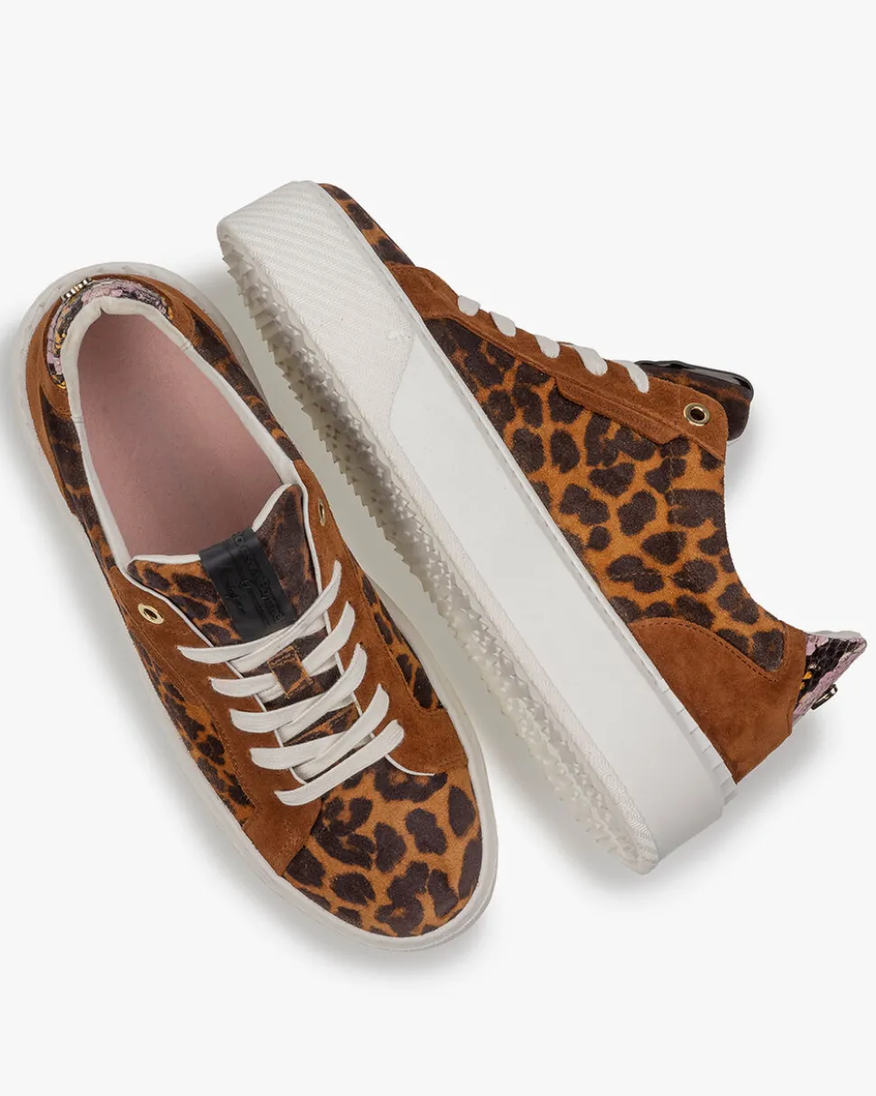 Sneaker>Floris van Bommel Winni 01.10 Cognac